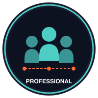 Professional Tier